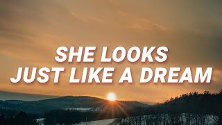 Eyedress - She looks just like a dream (Something About You) (Lyrics) ft. Dent May screenshot 4