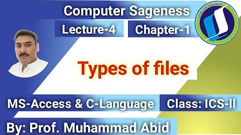 Lecture-4 || Chap-1 || Types of files || ICS-||
