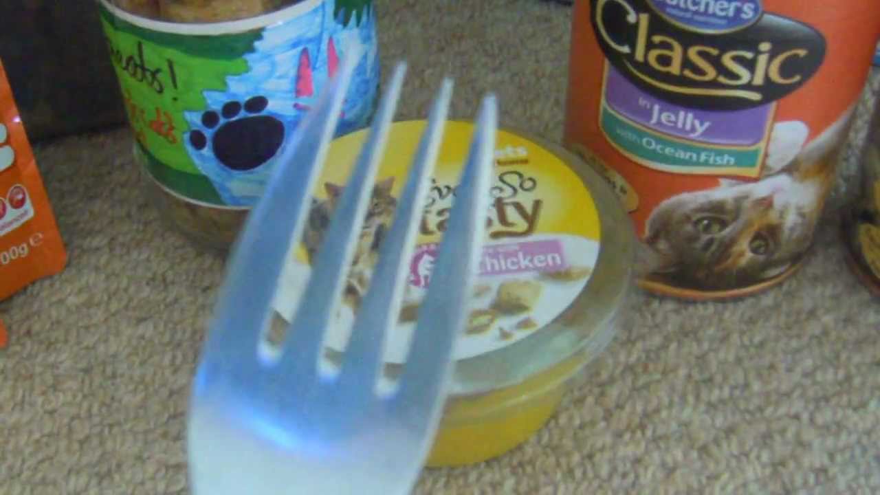 My Cats diet! - YouTube