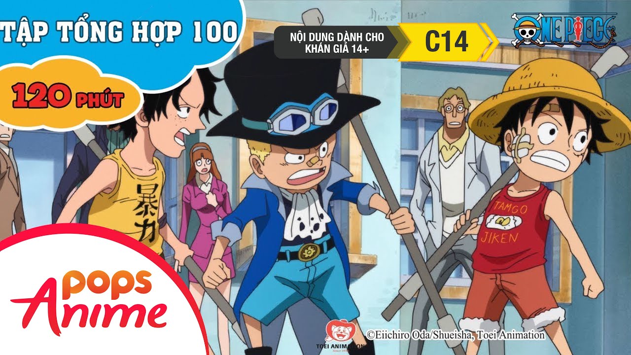 Đảo Hải Tặc Tập Tổng Hợp 100 - Luffy Và Băng Hải Tặc Mũ Rơm - Phim One  Piece - Youtube