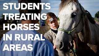 Bus Converted into Mobile Veterinarian Clinic to Treat Horses on Native American Reservations