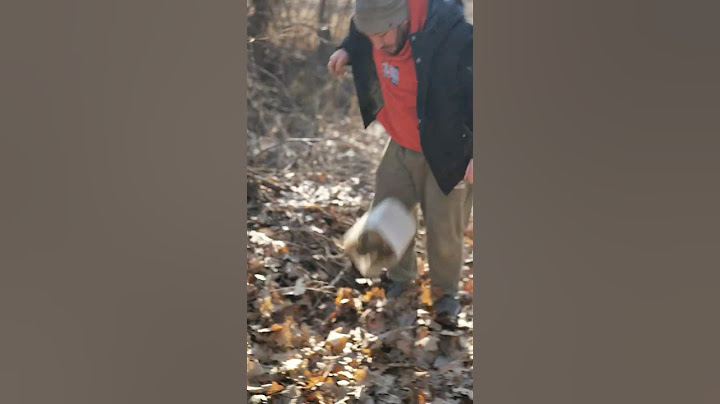 Amazing Survival Skills: Best bag for the woods #lifehacks #creativesurvival  #forest