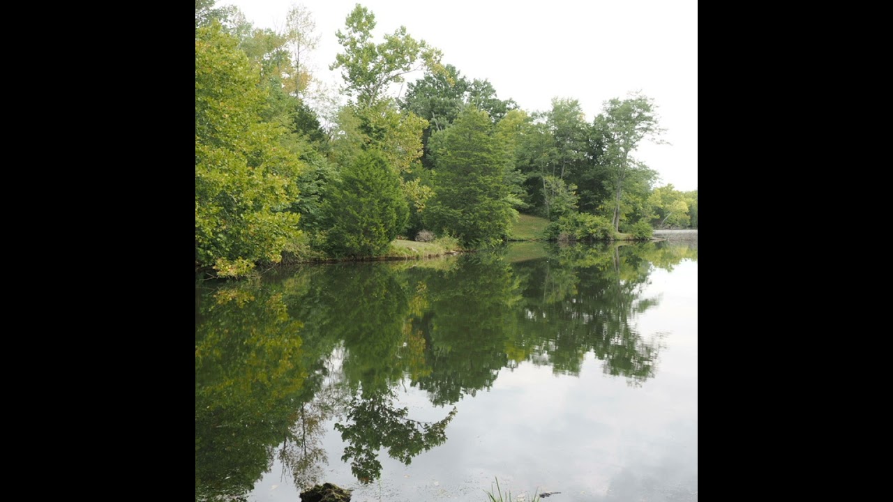 AI and Faith: Navigating New Frontiers