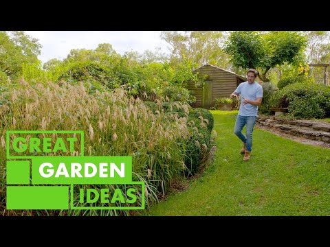 Vídeo: Miscanthus Maiden Grass - Dicas para cultivar variedades de grama Maiden