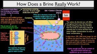 Understanding The Brining Process & Stratagies - Part 2 of 4