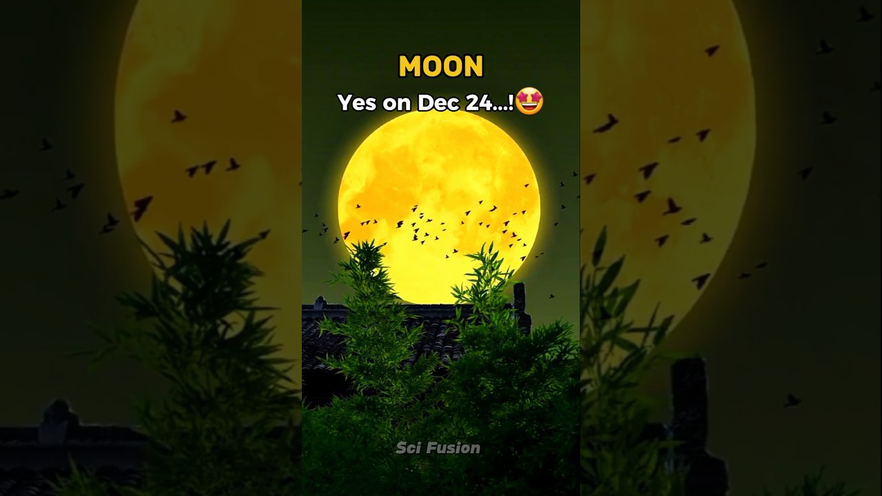 A Yellow Moon is Coming ☠️.. 