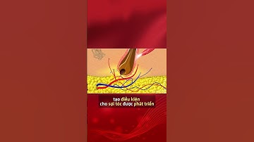 Phương pháp cho rụng tóc nội tiết tố được chuyên gia khuyên dùng