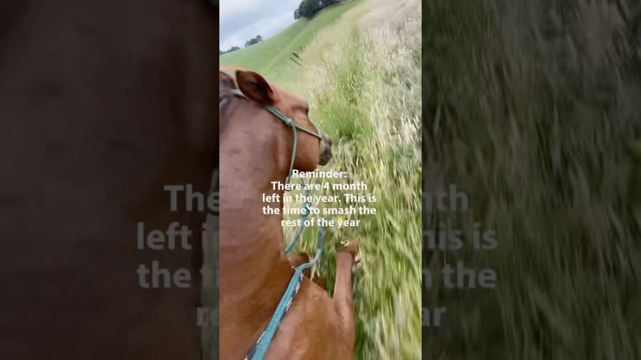 Smash the rest of the year! 