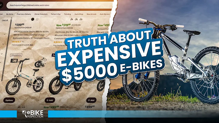 Truth About Those $5000 Electric Bikes!