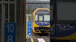 Nsw Trainlink Oscar Ping Wondabyne