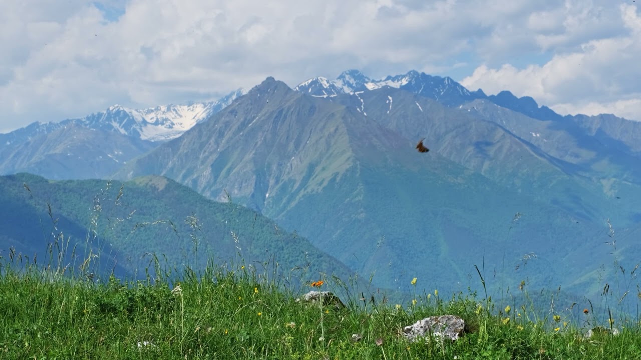 Relaxing Nature Vibes - Mountain Meadow Sounds (4 Hours)