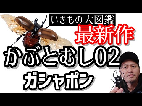 【ガチャガチャ】今年最後のハイクオリティ!!【いきもの大図鑑かぶとむし02】開封&レビューします。【バンダイ】【カプセルトイ】【コーカサスオオカブト】【ゴホンノヅノカブト】
