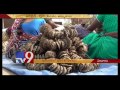 Buy 'Bhogi Pidakalu' online ! Pongal Special