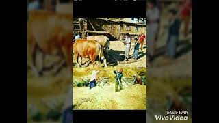 Aşik İzzet Savaş..ben Derdimi̇ Açsam Gülşen Bagina Deği̇l Sevdiklerim El Ağlar Bsna