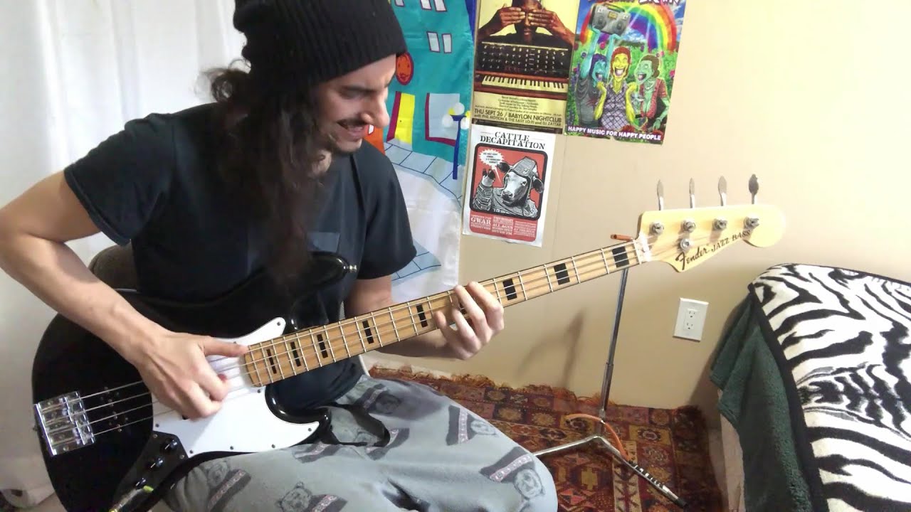 Death Grips - 3 Bedrooms In A Good Neighborhood - Bass Cover (Slap Grips)