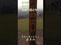 【若草山】#Shorts そうだ休日は奈良へ行こう!奈良に来たなら若草山へ登らないともったいない。お気軽登山で絶景に出会う。 詳しくは本編をご覧ください!【奈良観光】