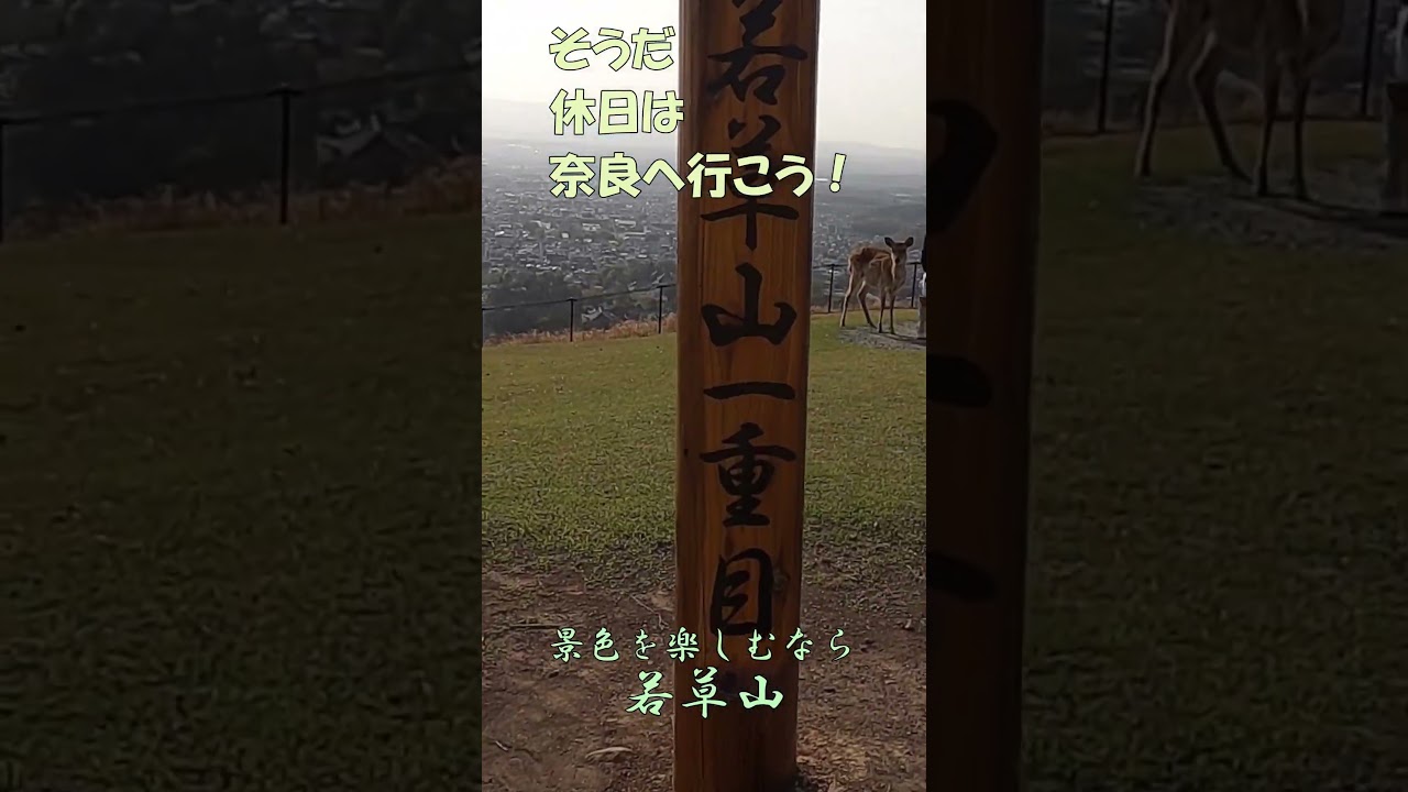 【若草山】#Shorts そうだ休日は奈良へ行こう!奈良に来たなら若草山へ登らないともったいない。お気軽登山で絶景に出会う。 詳しくは本編をご覧ください!【奈良観光】