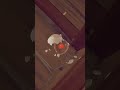 Oops! I did it egg-ain 🎤🥚