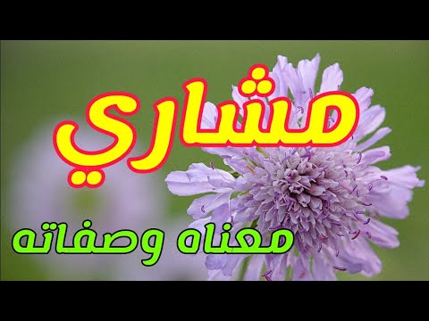 فيديو: Artem - معنى الاسم والشخصية والمصير