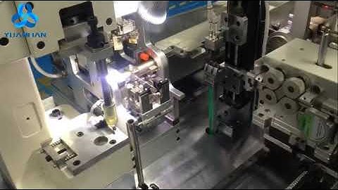 FSD2 Two heads Seal insertion Automatic Wire Stripping Sealing and Crimping Machine