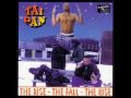 洋楽 TAI PAN - THE RISE THE FALL THE RISE Tai Pan – The Rise - The Fall - The Rise – CD (Album), 1995