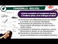 Resolución Cuadernillo ICFES Biología | Ejercicio 2