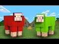 羊として生きた結果 まいくら マインクラフト 羊として生きた結果 まいくら マインクラフト