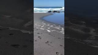 Volcanic beach on Réunion island (Indian Ocean) #shorts #beach #travel #nature