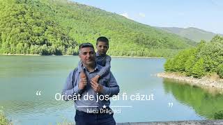 Nicu Drăghici - Oricât de jos ai fi căzut