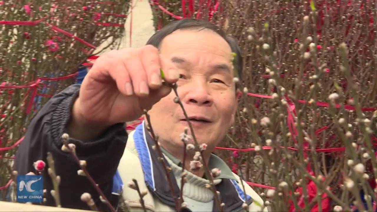 HK Lunar New Year Fair kicks off