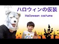 ハロウィンの仮装を紹介するよ【ドン・キホーテ ハロウィーン 衣装 コスプレ コスチューム キッズ 子供】