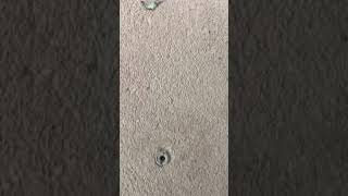 Safety cover anchor removal tool How to cheaply and easily remove safety cover anchors from concrete