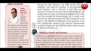 Cell Division Explained | Mitosis & Meiosis Full Chapter | Class 9 Science Chapter 2 Part-4