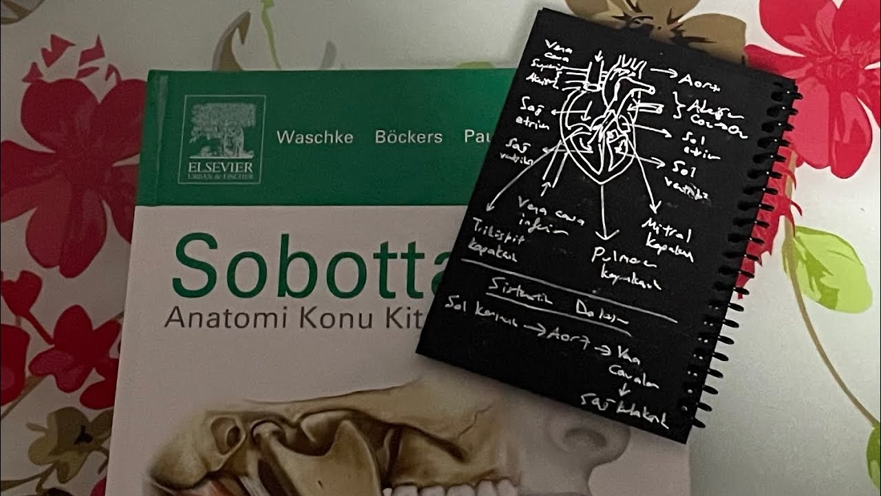 SOBOTTA REİS İMDADIMIZA YETİŞTİ🫡