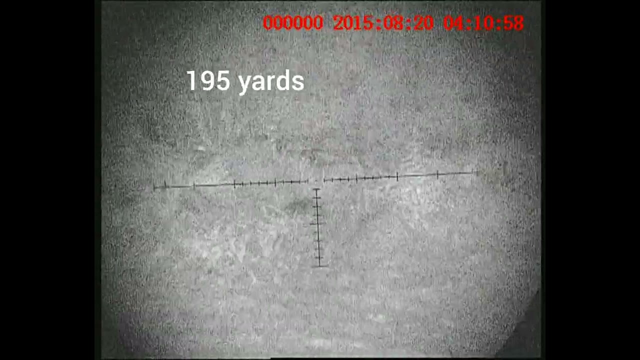 Night vision fox , ludicrous lumens vulpine MK3 YouTube