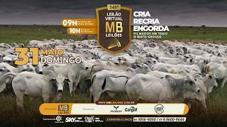 548° LEILÃO VIRTUAL - MB LEILÕES