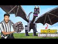 I Built Minecraft Ender Dragon In Real Life !