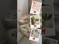 estilo coqueet bello