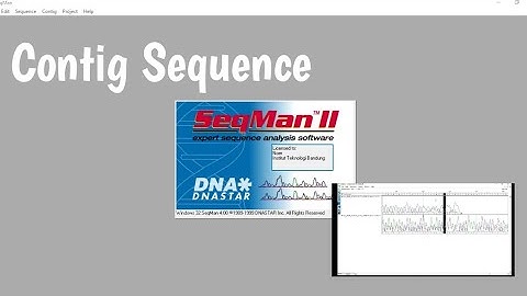 Cara contig (Penyatuan) Sequence dengan DNASTAR/Seqman