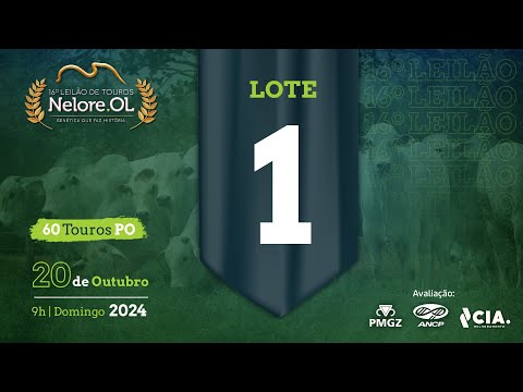 LOTE 1 AVCAA5260 16º Leilão de Touros Nelore OL