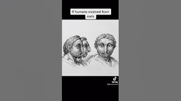 Thumbnail of CHARLES DARWIN WAS WRONG in 1859 ( If humans evolved differently ) #shorts