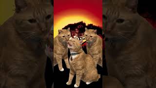 Cats Love Rock #Rave #Comedy #Cat #Fyp #Funny #Memes  #Viral #Funnymemes #Shorts #Housemusic #Dance
