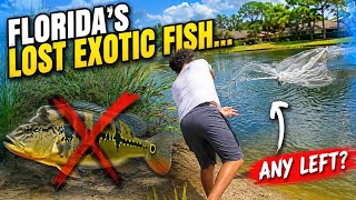 We Went Looking for Florida's Lost Exotic Fish…