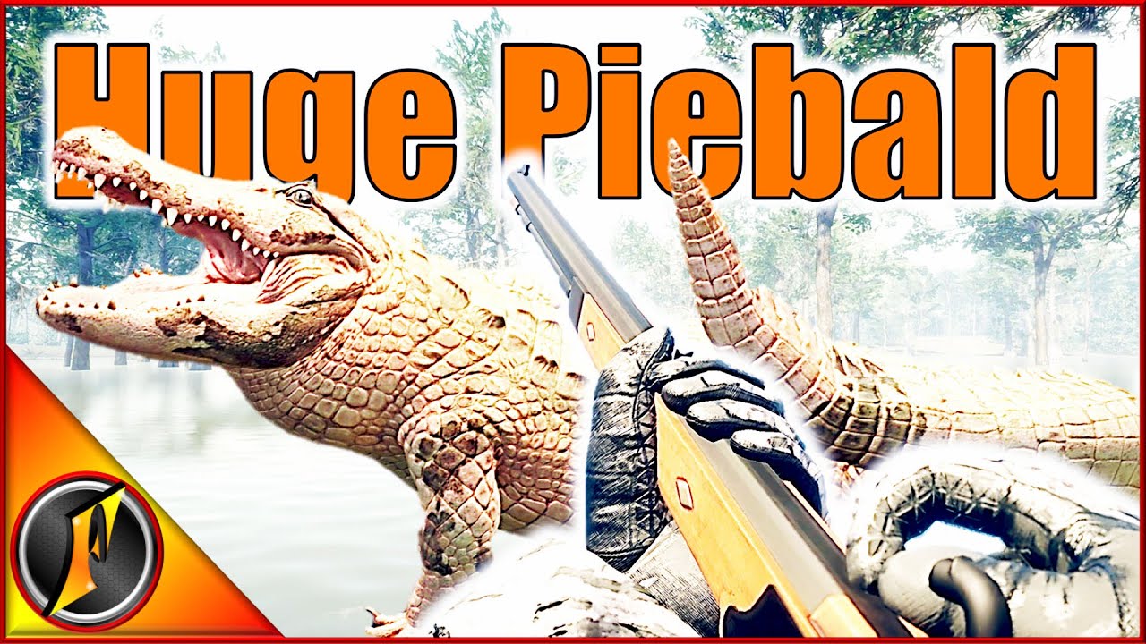 Hunting a Huge Piebald Gator with the Muzzleloader! YouTube