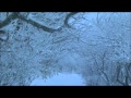 湯煙情話 湘南ボーイ