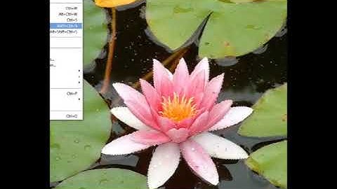 Saving and Opening Selections in Photoshop