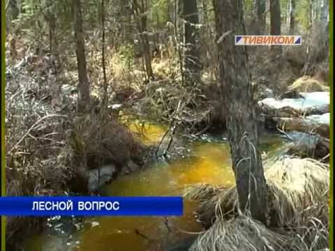 Лесной вопрос