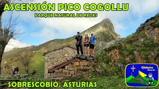[ 2,7 K ] Ascensión Pico Cogollu. Sierra Crespón. Parque Natural de Redes. Sobrescobio. Asturias.