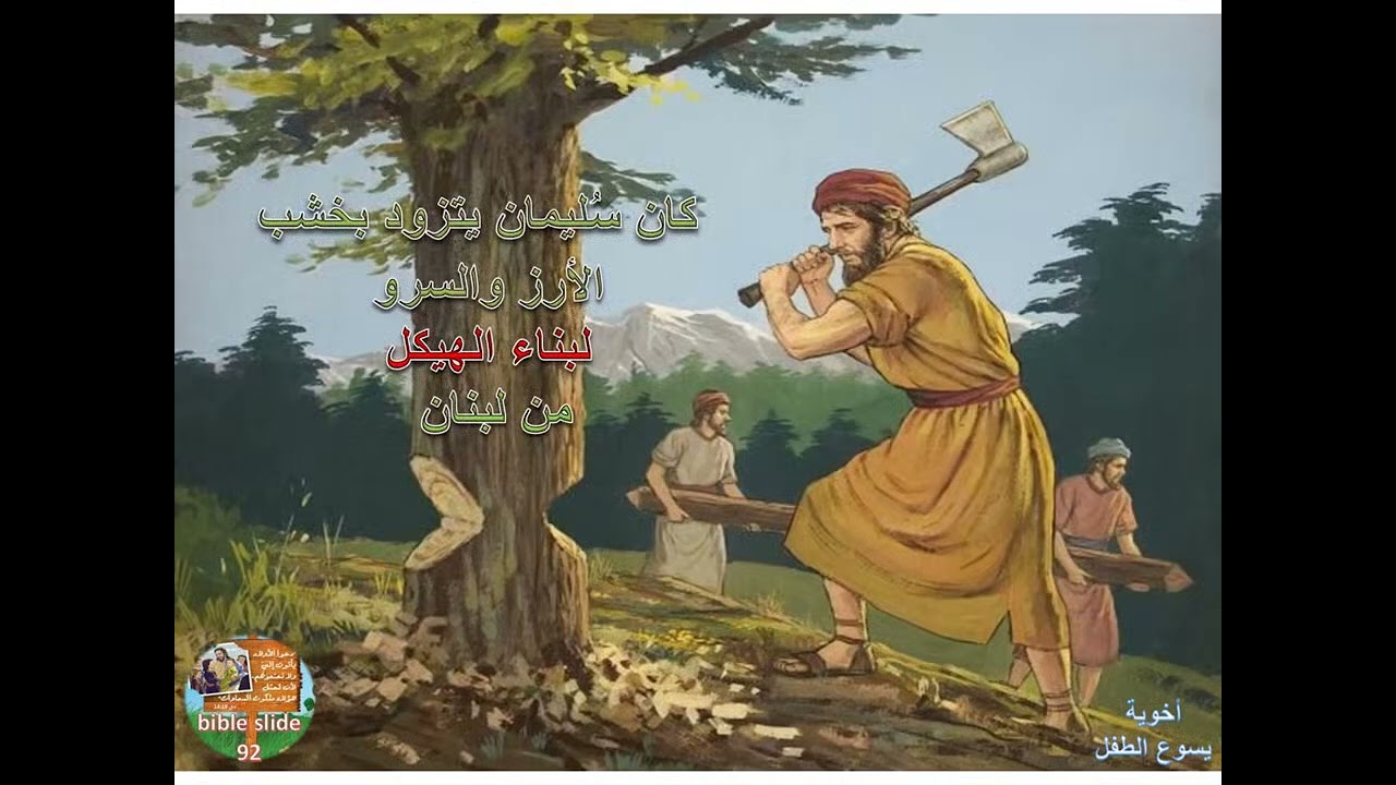 بناء هيكل سليمان ‎@nardeenkamel6156