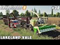 Harvesting of poplar, sale of wood chips | Lakeland Vale 2 | Farming simulator 19 | Timelapse #30